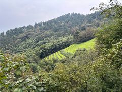 -敬亭山风景名胜区