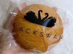 天鹅蛋-BLACKSWAN黑天鹅(环球店)