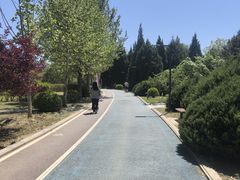 -太阳宫公园