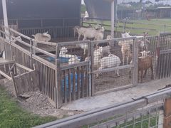 -栖露营camping·天幕烧烤·团建拓展·采摘营地