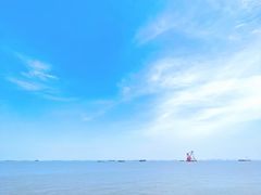 -上海滨江森林公园