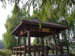 -大兴滨河森林公园