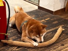 -三目仓咖啡(贤南路店)