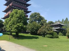 -祥源·阜阳生态乐园