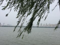 -艾溪湖湿地公园