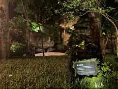 -海口观澜湖火山温泉谷