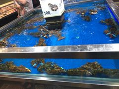 -盒马鲜生(红莲店)