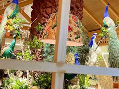 -寻滇记云南鲜牛肉火锅(北海路店)