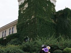 -府河摄影公园