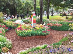 -深圳仙湖植物园
