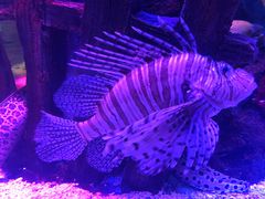 -沈阳海洋探索中心