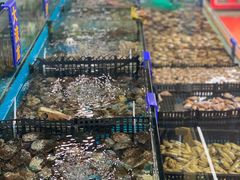 -双福水果批发市场