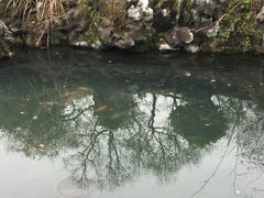 -杭州西湖柳莺里酒店