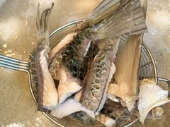 -正能量脆肉鲩火锅