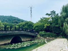 -树山生态村
