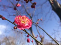 -天津东丽湖风景区