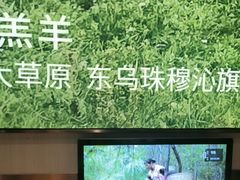 -巴奴毛肚火锅(六天地店)