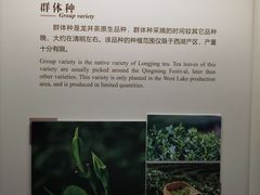 -中国茶叶博物馆(双峰馆区)