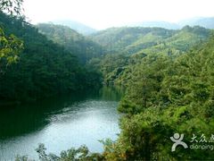 -秦岭天竺山景区