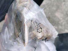 -放牛郎牛羊肉汤馆(嘉海雅苑店)