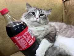 -白兔子密室(长寿路店)