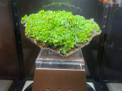 -中国地质大学逸夫博物馆