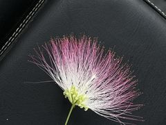 -旺角小渔村(二马路店)