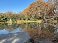-河南省黄河迎宾馆