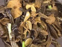 -济南野生动物世界