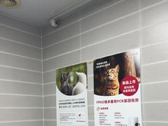 -芭比堂动物医院·心脏科·老年急重症·夜诊·吉雅分院