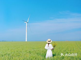 不去大理喜洲威海就能拍电影感风车麦田