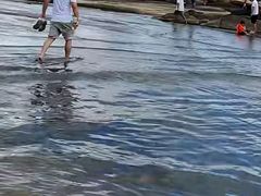 -浪琴湾度假村