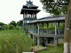 -金鸡湖桃花岛