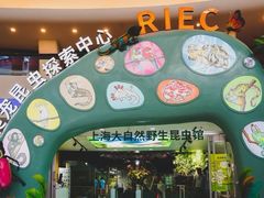 -上海大自然野生昆虫馆(东方明珠·爬宠昆虫探索中心)