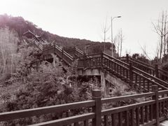 -铁山坪森林公园