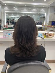 -镁连社·美联社