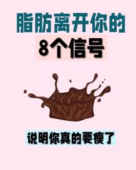-Fundi张玉珊修身堂·indiba·BTL科技瘦身