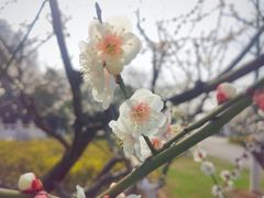 -幕燕滨江·长江观音景区