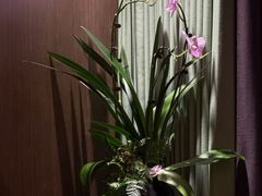 -王府茶楼茶宴·创意菜(大观园总店)