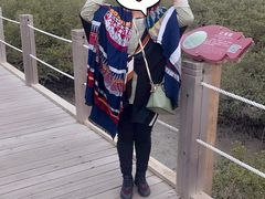 -北海金海湾红树林生态旅游区