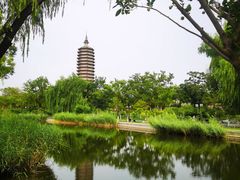 -西海子公园