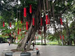 -荔湾湖公园