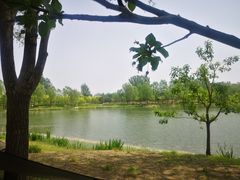 -东郊湿地公园