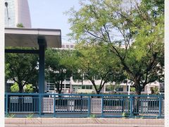 -朝阳区图书馆(小庄店)