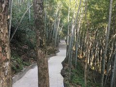 -石台牯牛降景区
