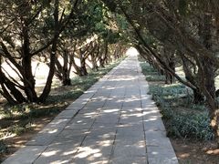 -洛阳古墓博物馆