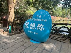 -西双版纳原始森林公园