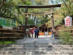 -野宫神社