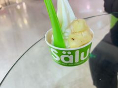 -Salud撒露欧洲冻酸奶(北苑上品店)