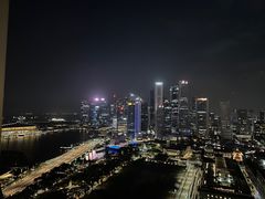 -新加坡瑞士史丹福酒店